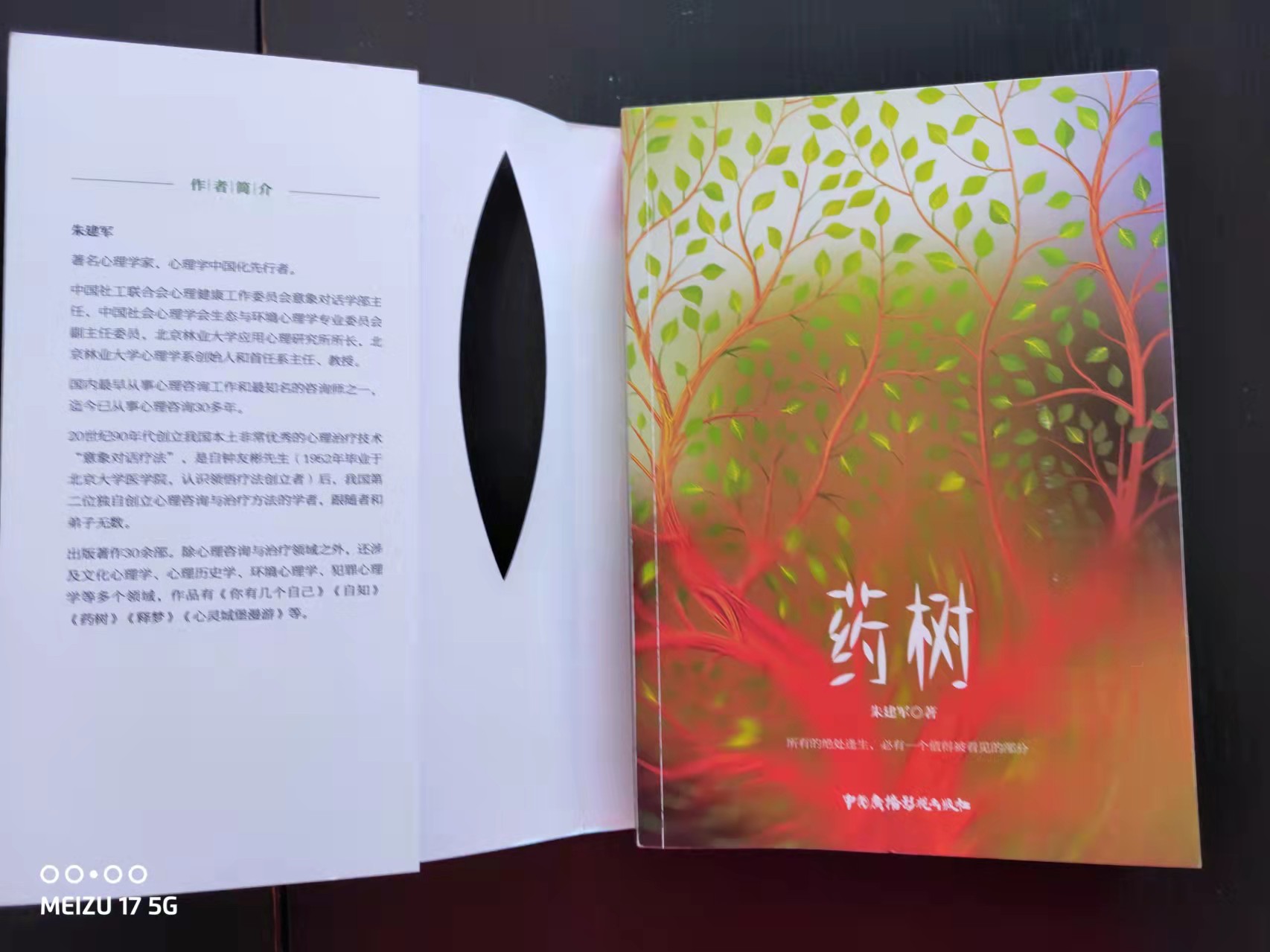 《药树:生和死,哪个才是压抑者人生的出路