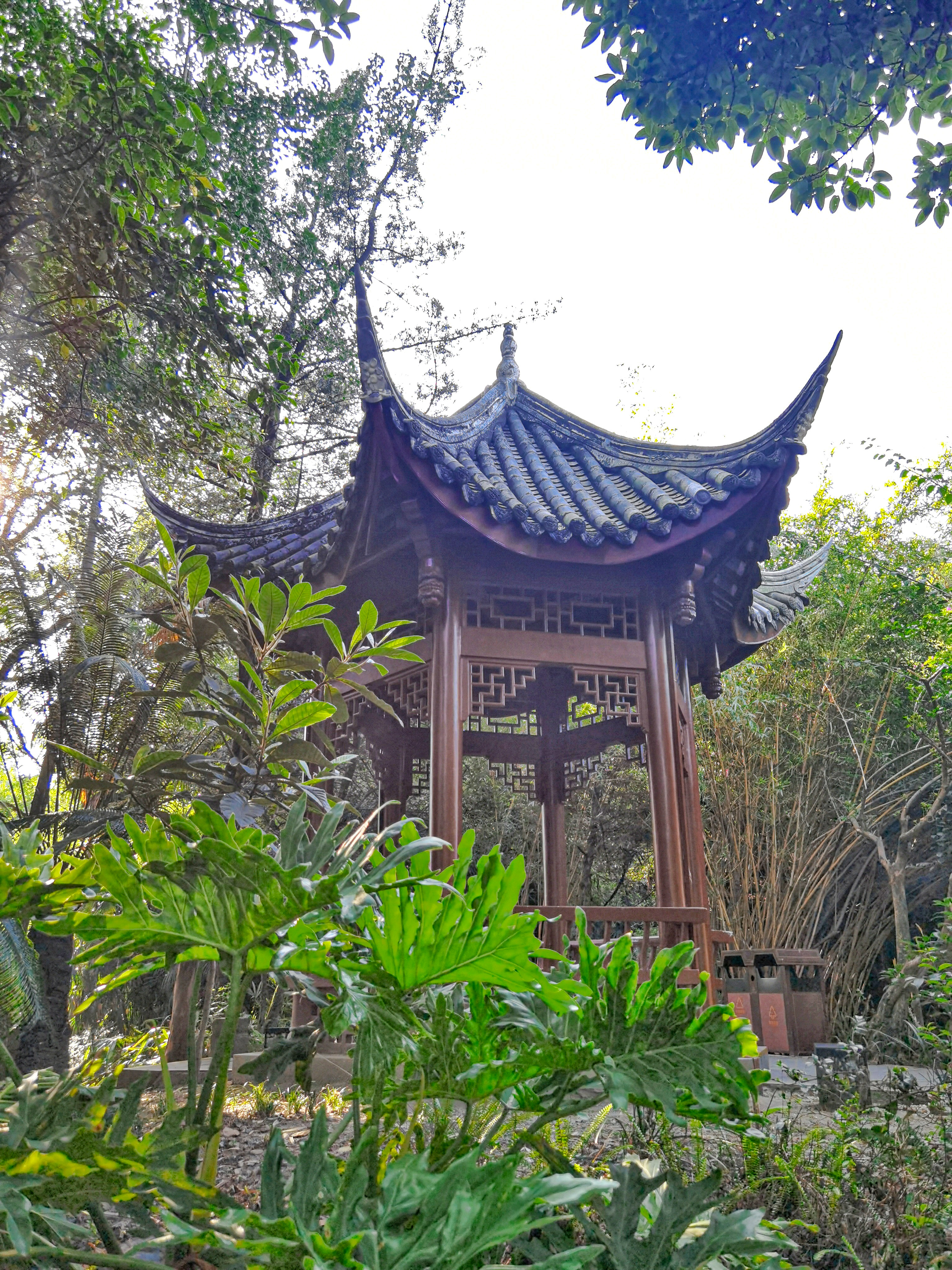 游成都百花潭公园