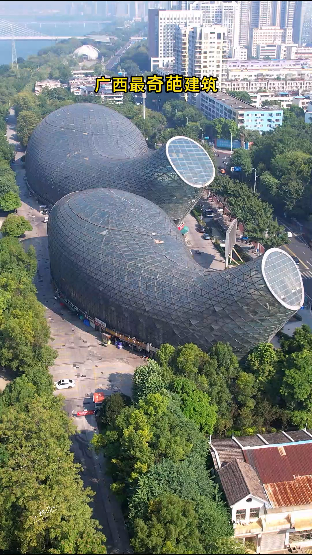 广西柳州奇葩建筑,以鲤鱼为造型,却无头无尾,被网友戏称像尿壶,你觉得