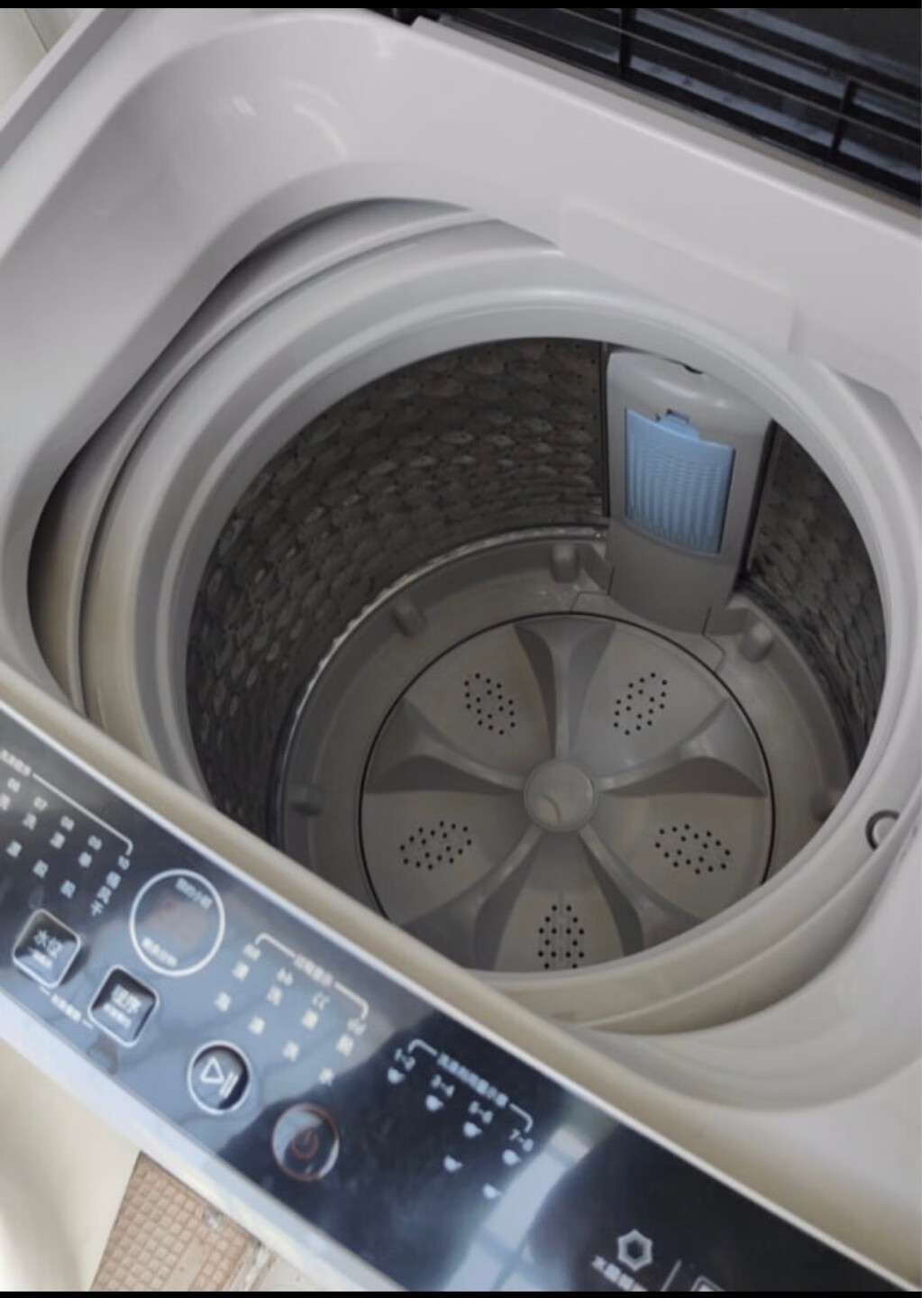 tcl xqb55-36sp波轮洗衣机:租房宿舍必备,轻松解决洗衣烦恼!