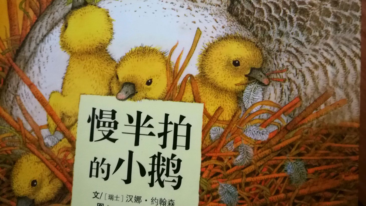 最美的星星并非总是最耀眼的——分享《慢半拍的小鹅》