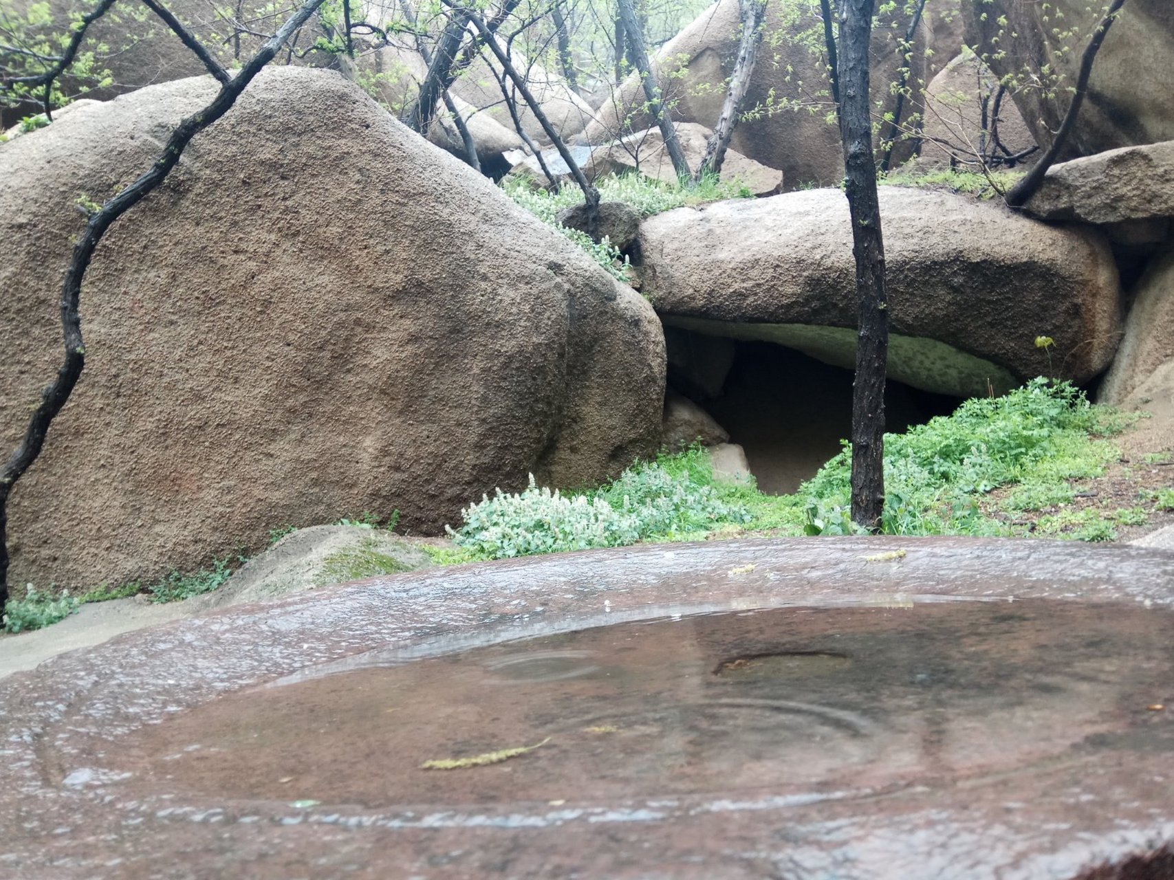 嵖岈山 雨下嵖岈山,温行忆更浓.