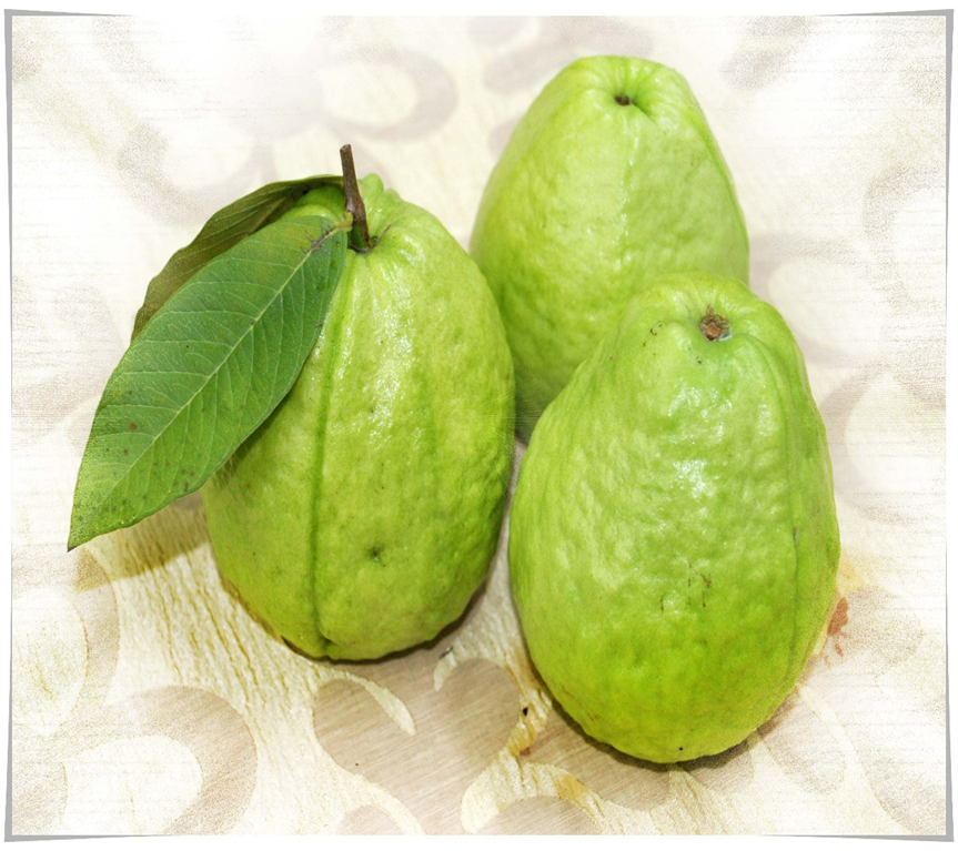 我来说说:台湾著名特产水果