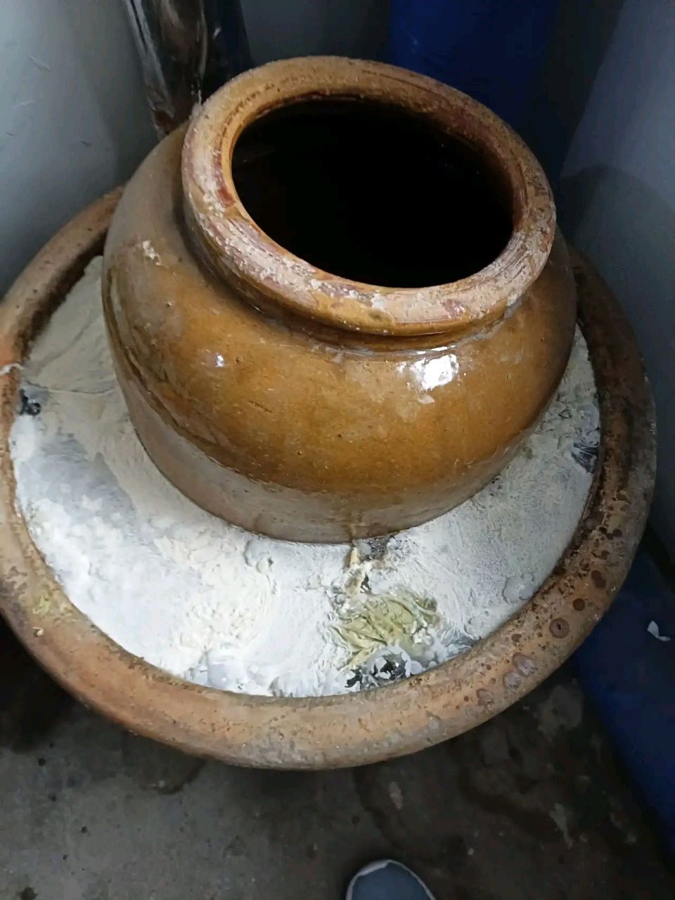 看到大姐腌得酸菜缸里,上面长了一层白毛,是不是长白毛很正常啊?