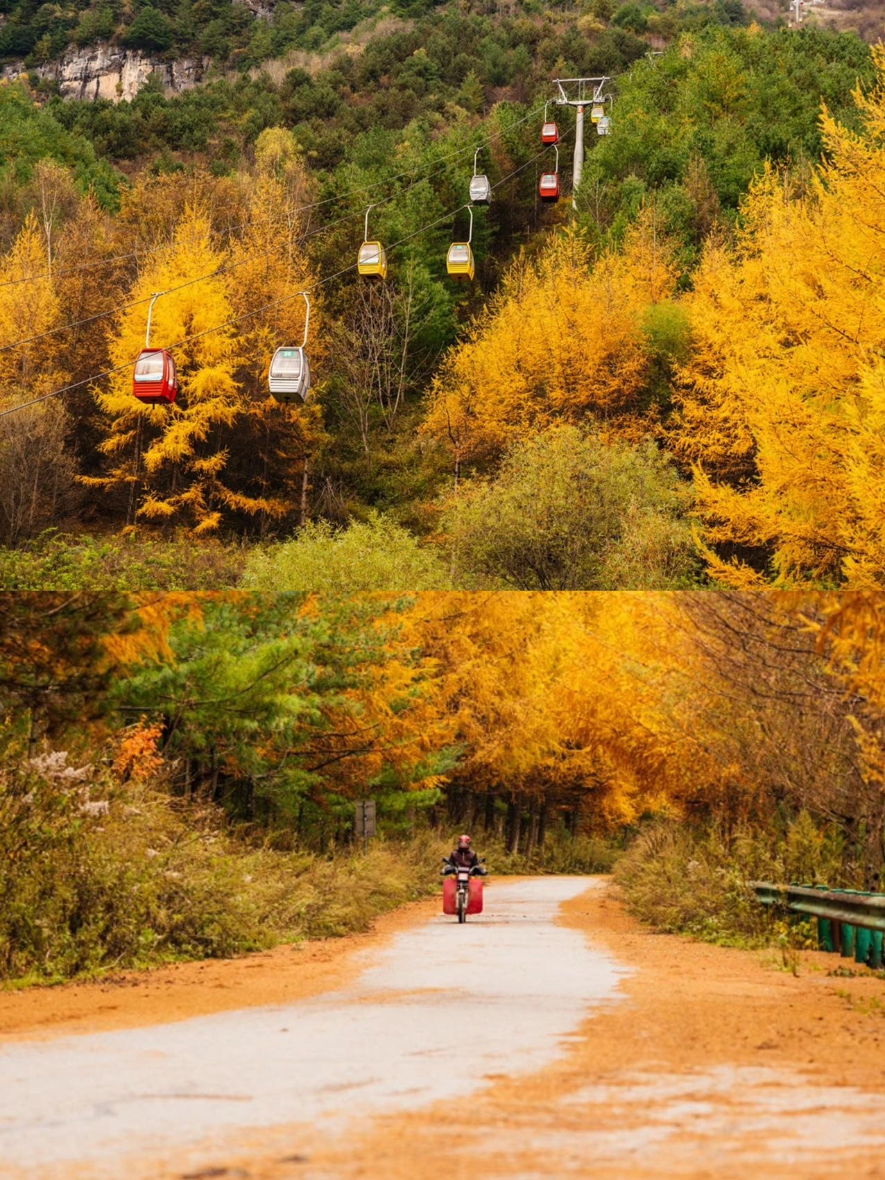 秦岭免费景点自驾游图片