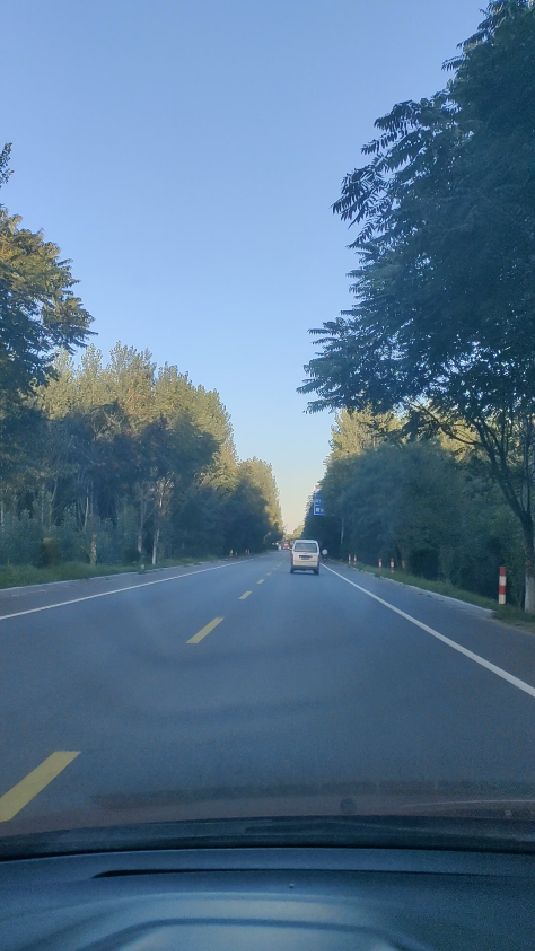 回家的路,农村道路风景很美