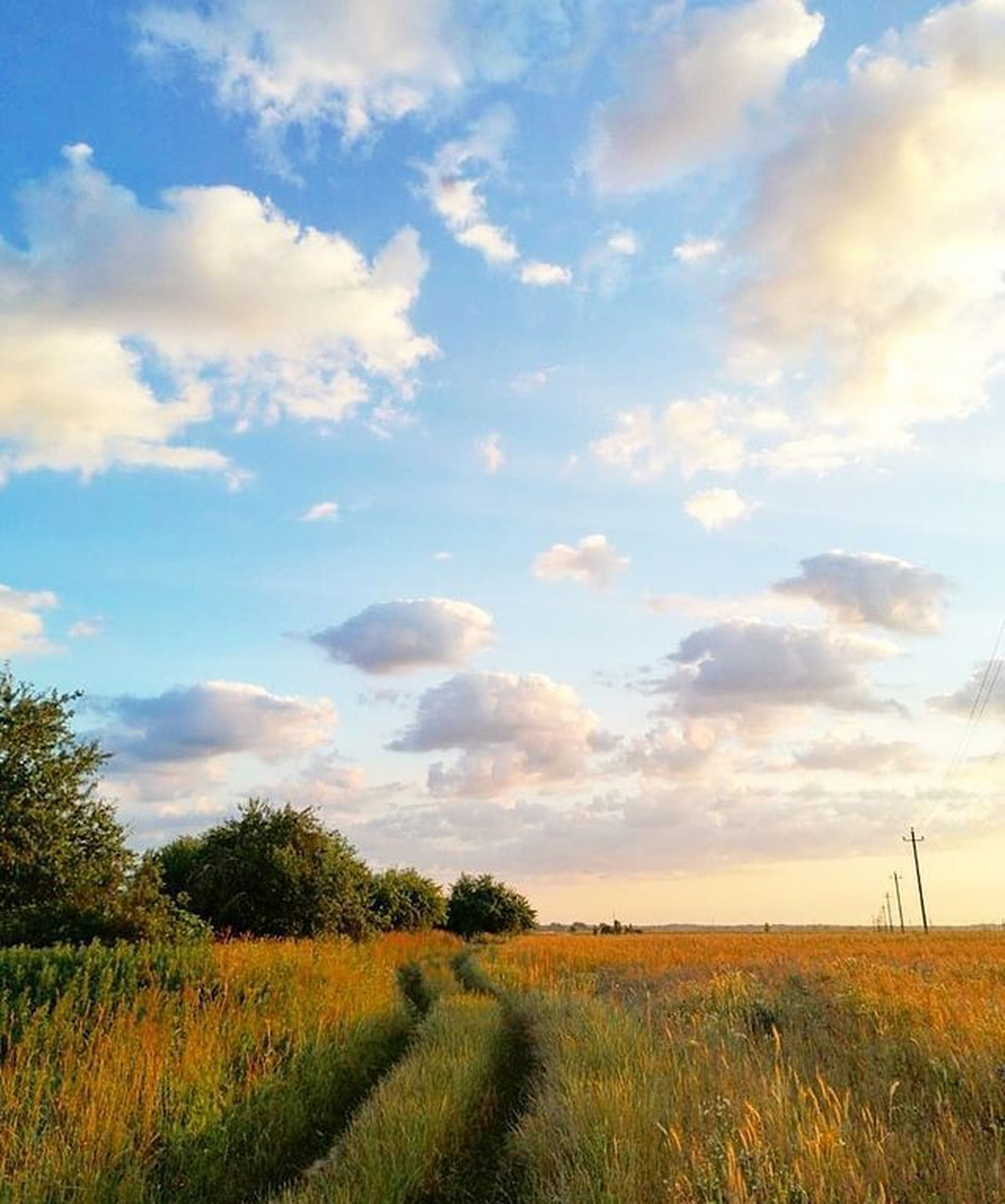 陶醉在傍晚时分的夏日田野里~91"希望你平平淡淡的生活里,也有很多