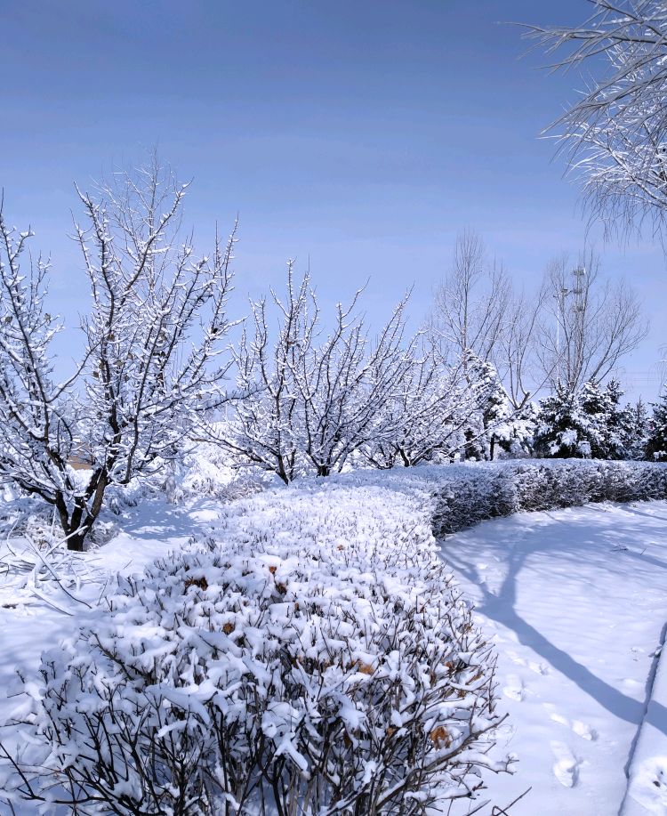 2021年3月1日张家口蔚县春雪景致