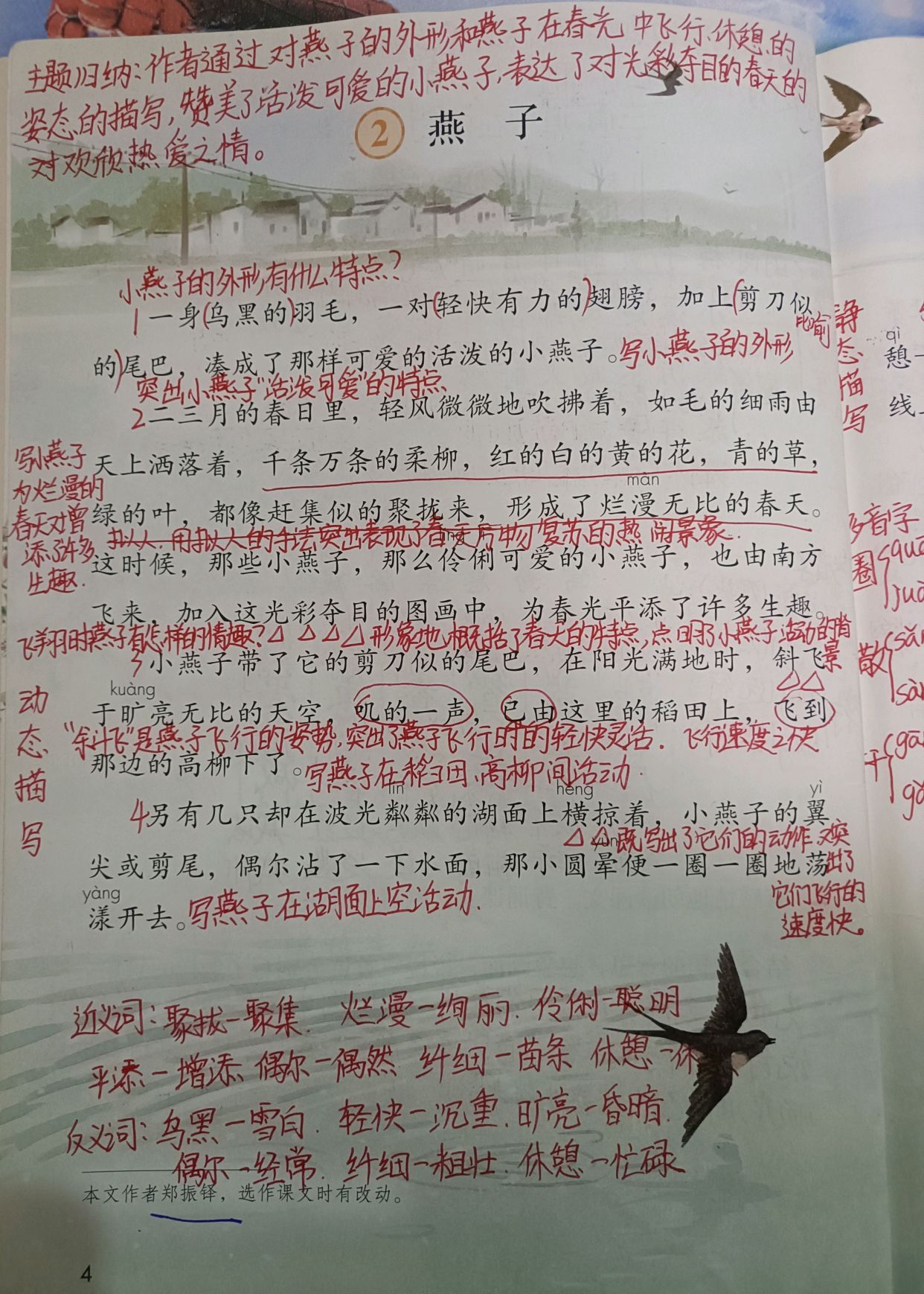 部编版三年级下册语文2《燕子》学习笔记