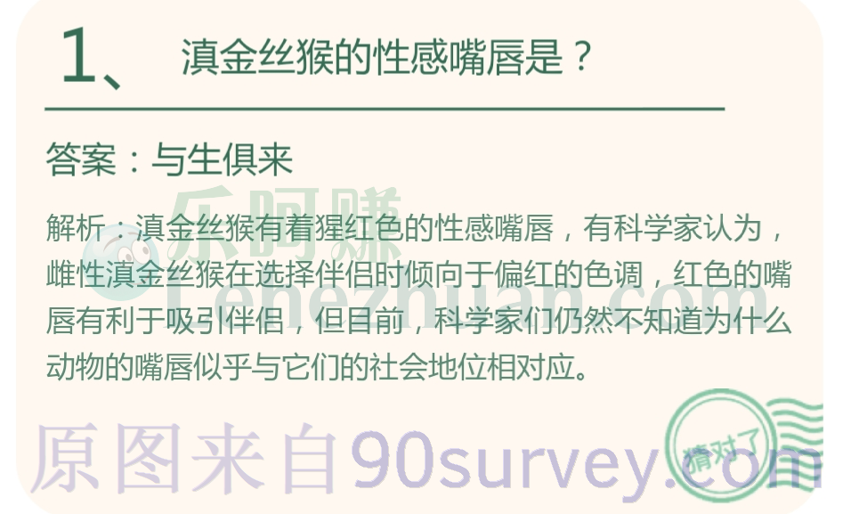 滇金丝猴的性感嘴唇是?答案:与生俱来 滇金丝猴的性感嘴唇是?答案:与生俱来