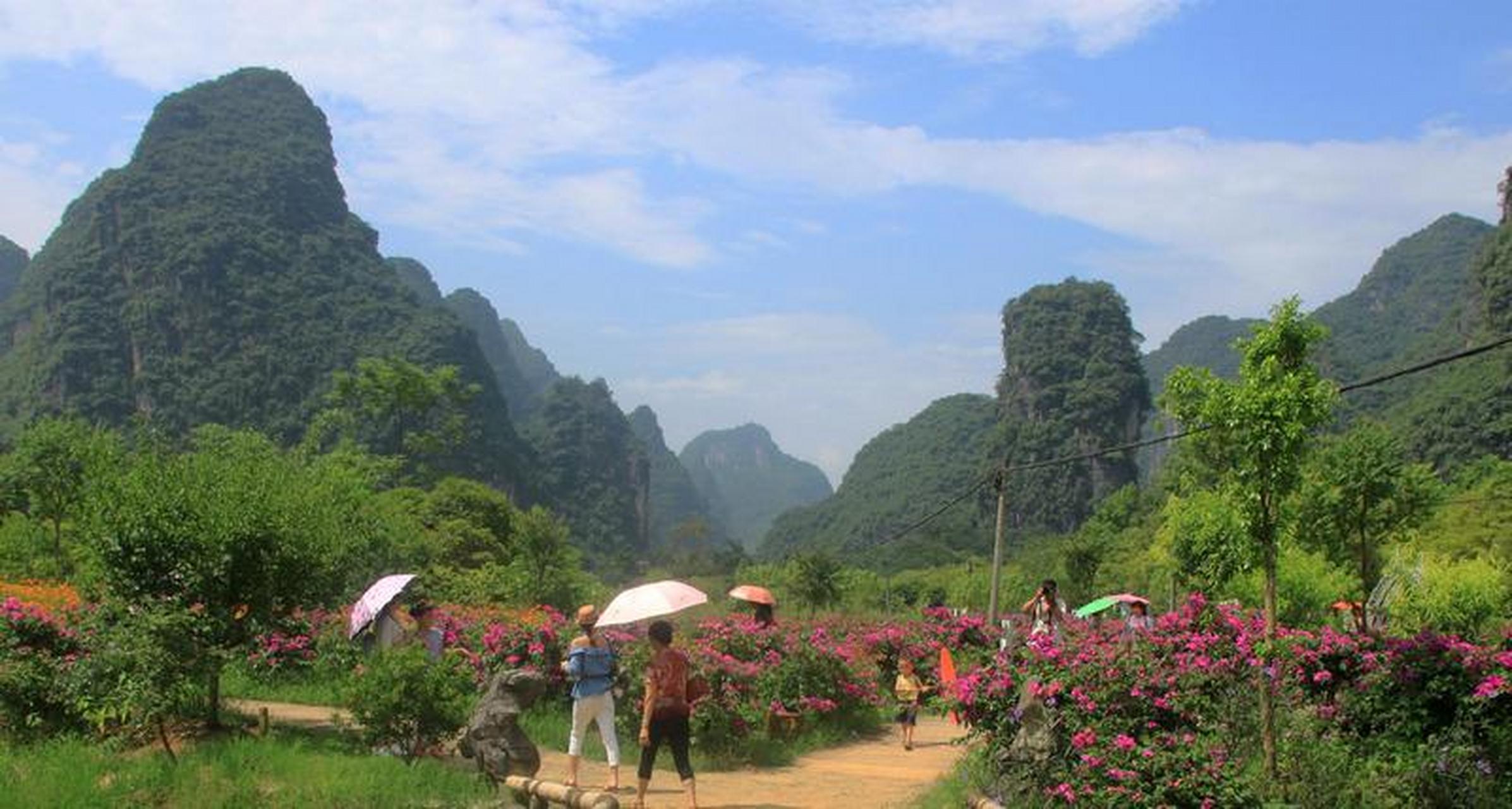 春季赏花地—桂林阳朔  在春暖花开的季节,漫游漓江阳朔,解锁这令人