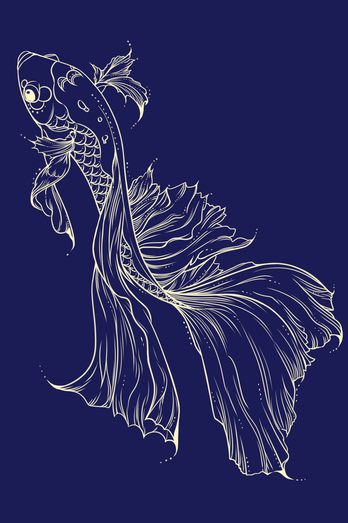 每日插画练习-鱼