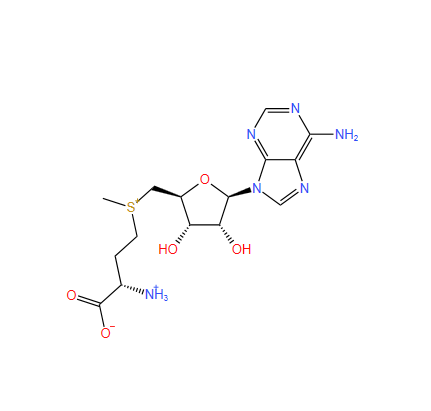 腺苷蛋氨酸图片