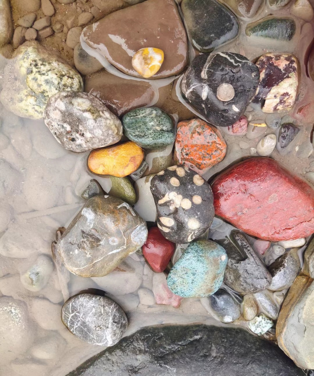 看看我在河边捡到的石头,怎么样,有没有价值?