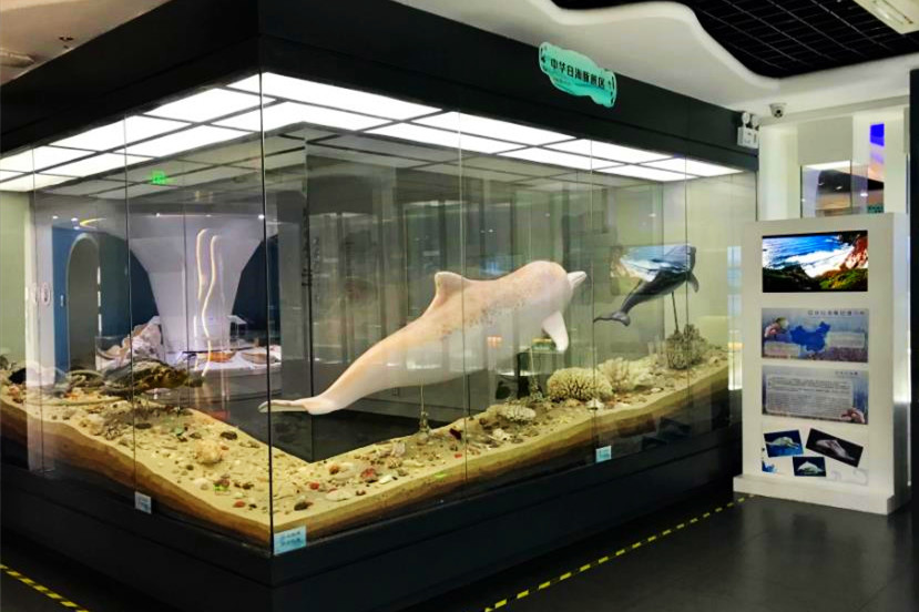 蛇口海洋博物馆