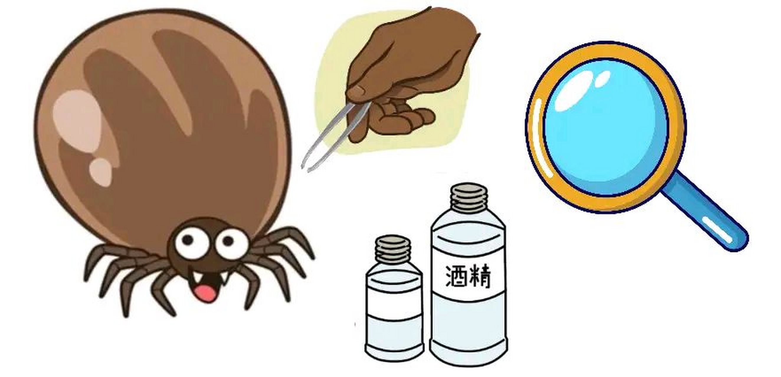 "  于是,乐乐爸爸开始在工具箱里面