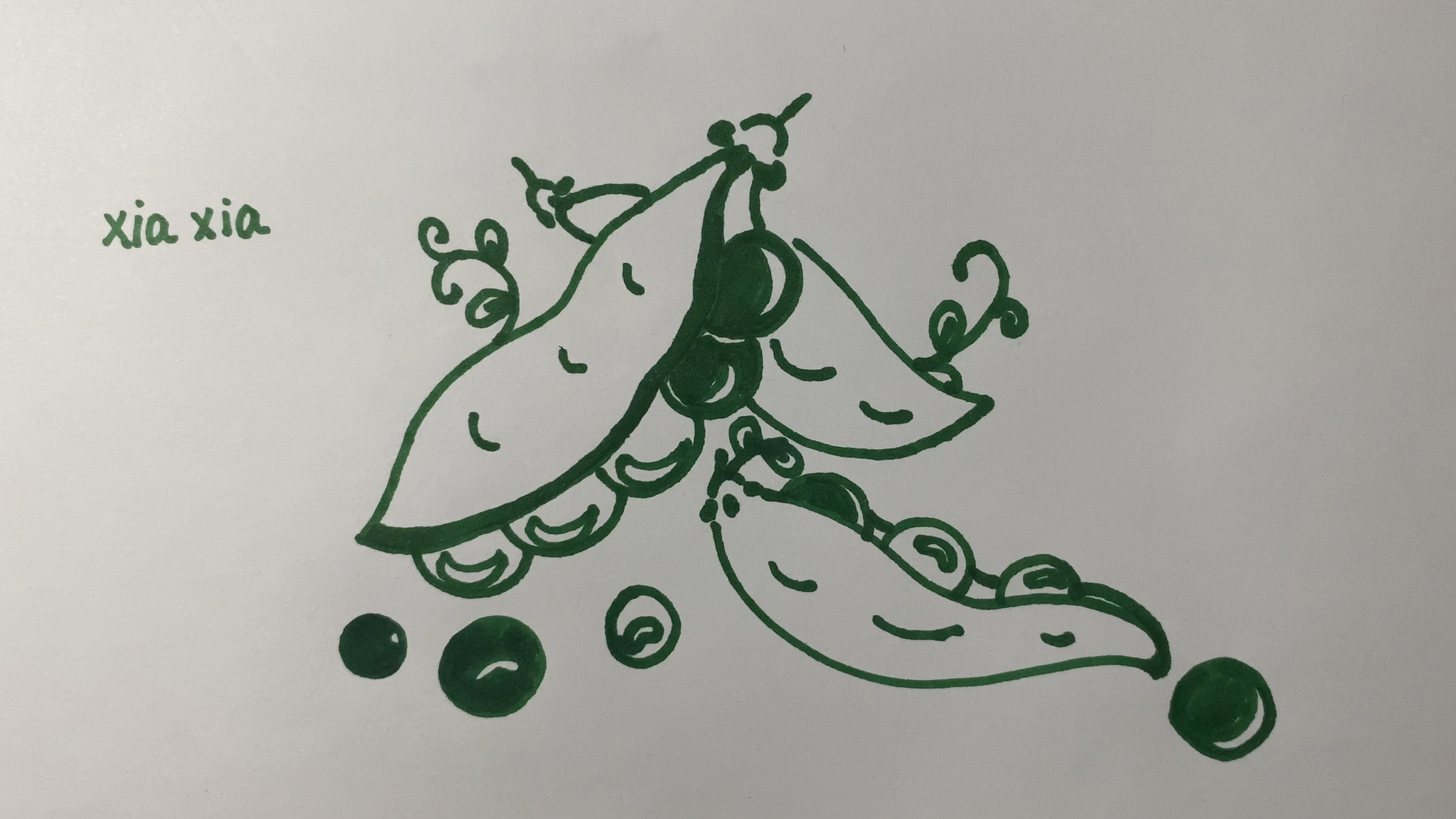简笔画豌豆的画法