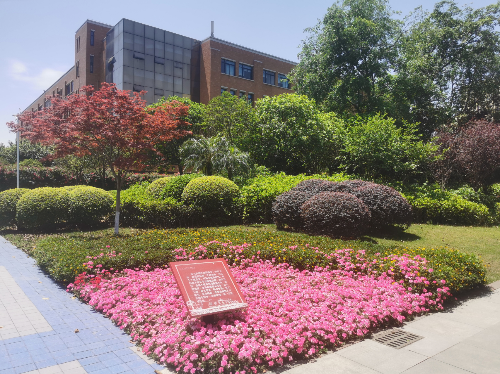 看春天到来,你要看那校园里百花齐放,更要看交大希望学院花潮节的盛况