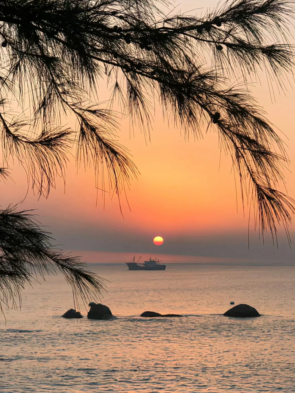 是大海美还是落日美?