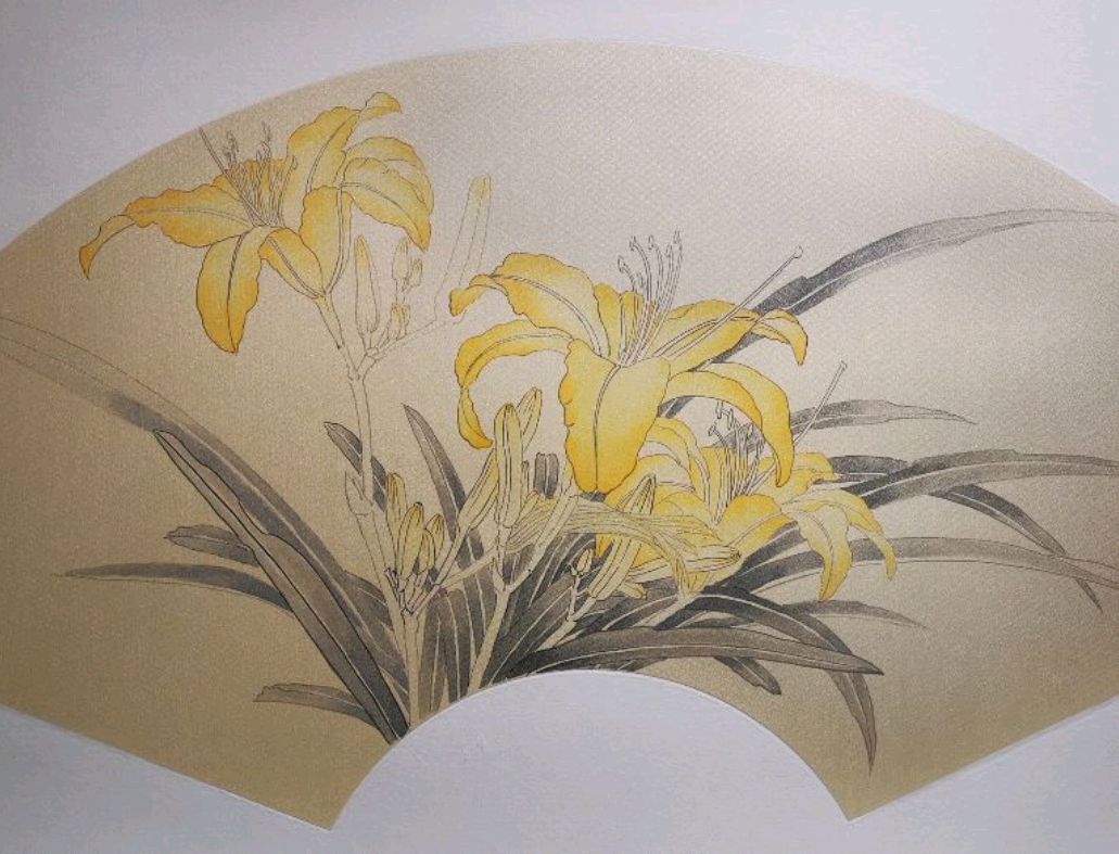 工笔花鸟画之萱草创作步骤