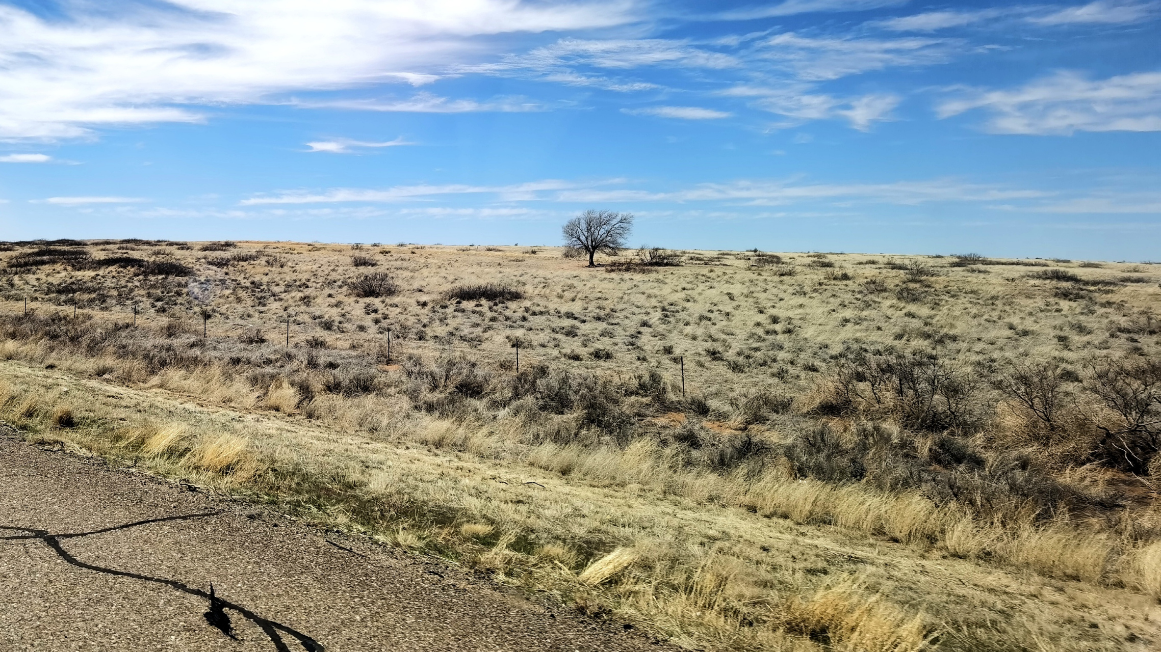 新墨西哥州的大片沙漠