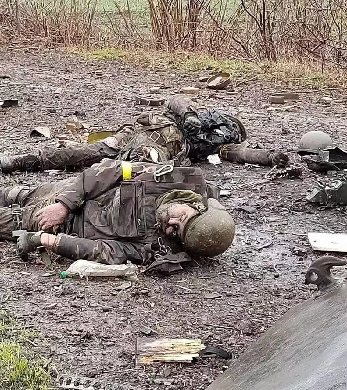 俄乌战场已经到了没人收尸的阶段了?