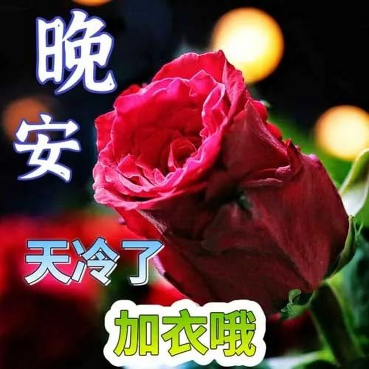 晚安,愿你今晚的梦境都是美好的,明天醒来时心情也像阳光一样明媚.