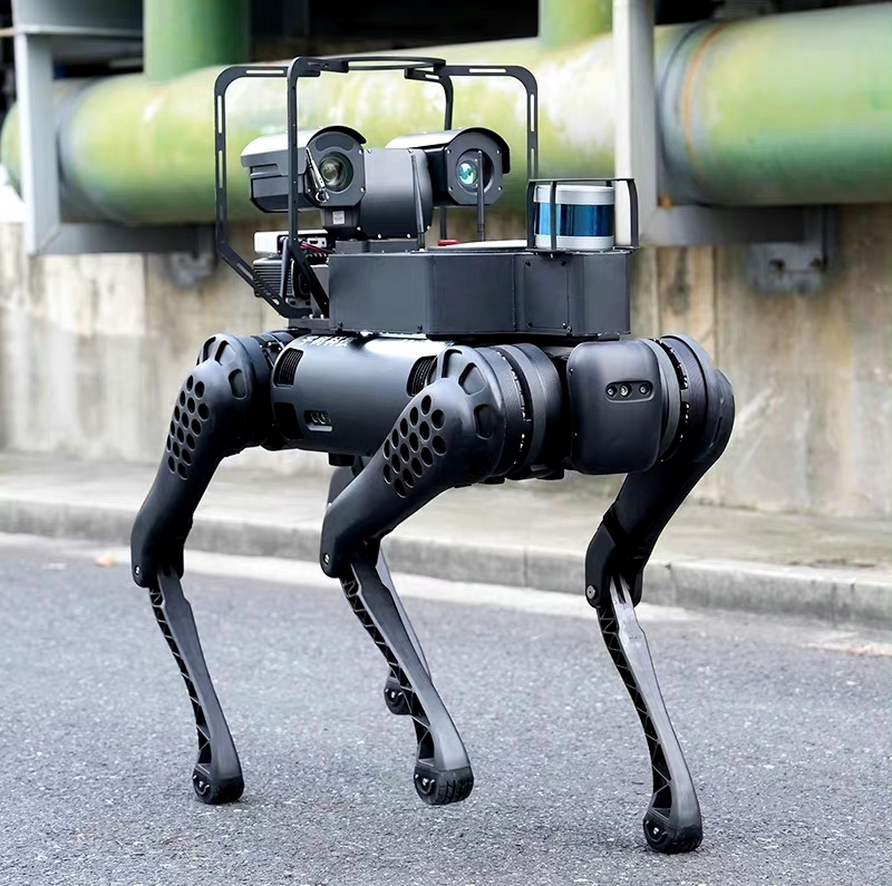一组机器狗照片展示,随着技术进步,机器人技术在生活中应用愈发广泛.