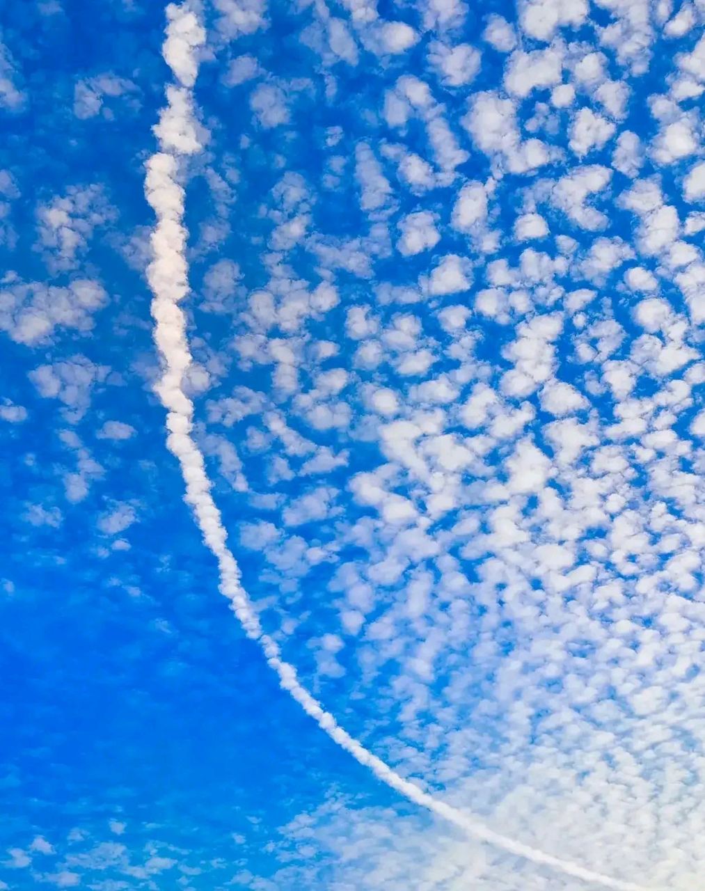 一分耕耘一分收获,一分寻觅一分美景.