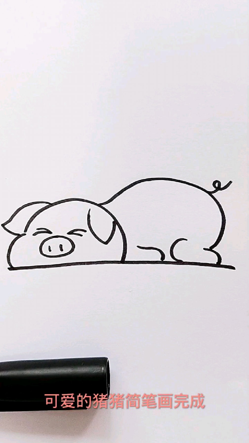 猪猪简笔画简单图片