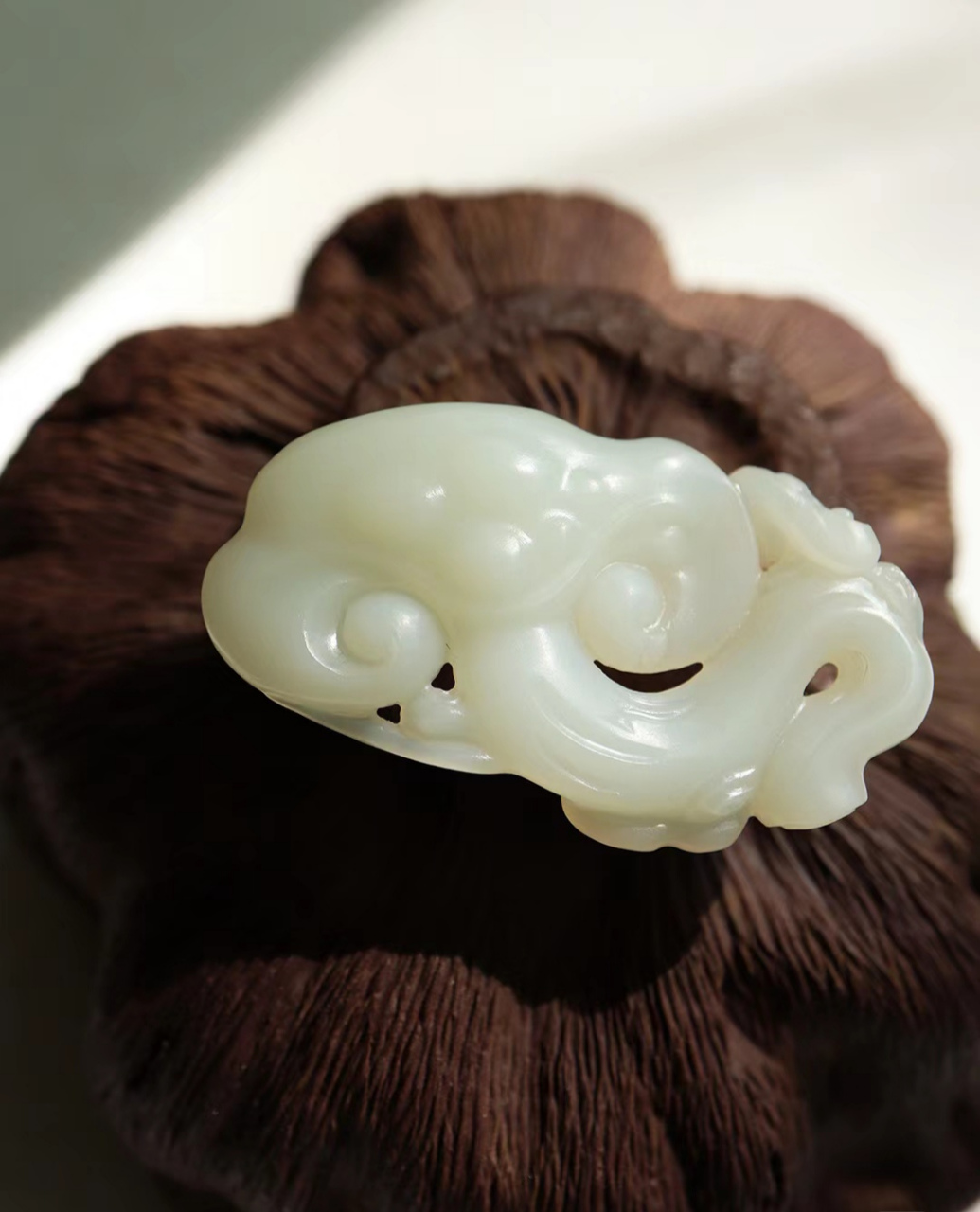 玉灵芝  好治愈