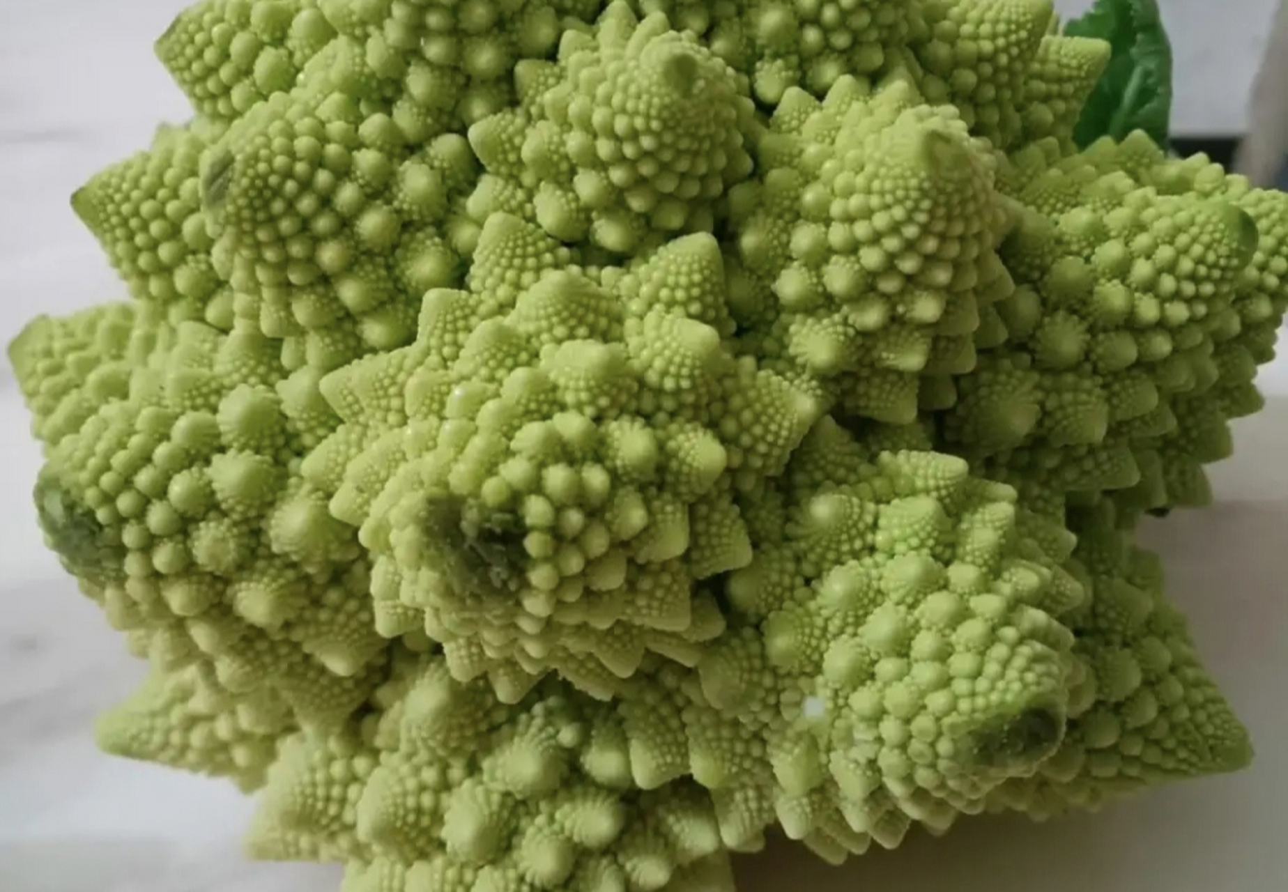 这是什么菜这么奇怪,有人见过吗?