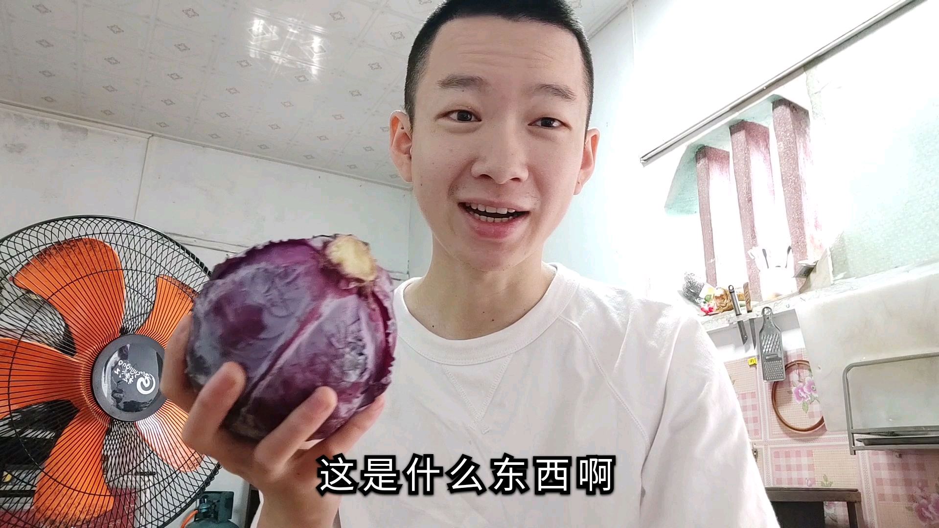 邻居送的紫色包菜,第一次见这种包菜,中午吃2个鸡蛋,1盘猪肉