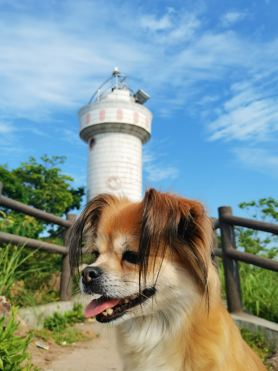 浙江台州玉环市大龙湾村,旅游业虽不是玉环的支柱产业,但沿着海边公路