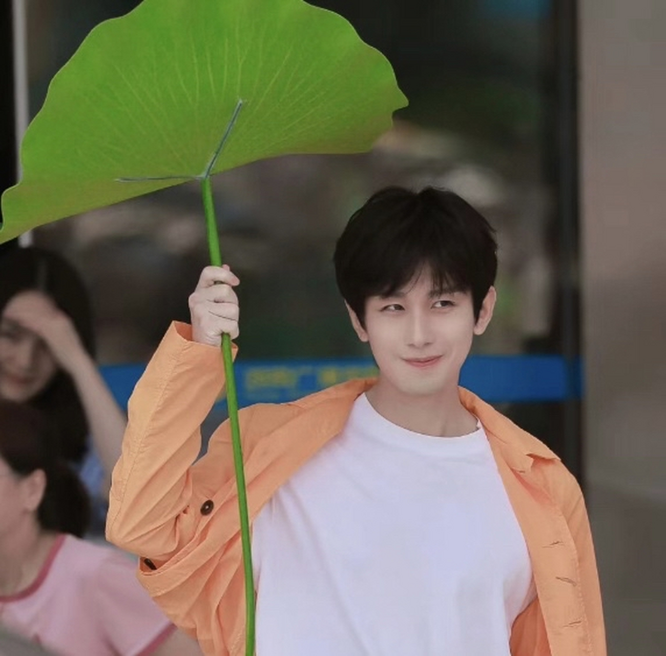 举着荷叶的成毅这么可爱的吗?