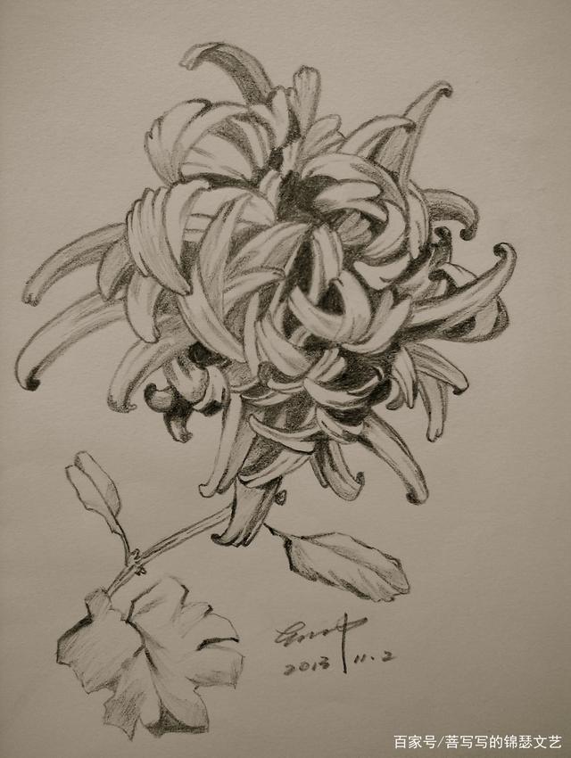 来欣赏一个美术门外汉的铅笔素描画:不是美术生,偏要艺术地活着
