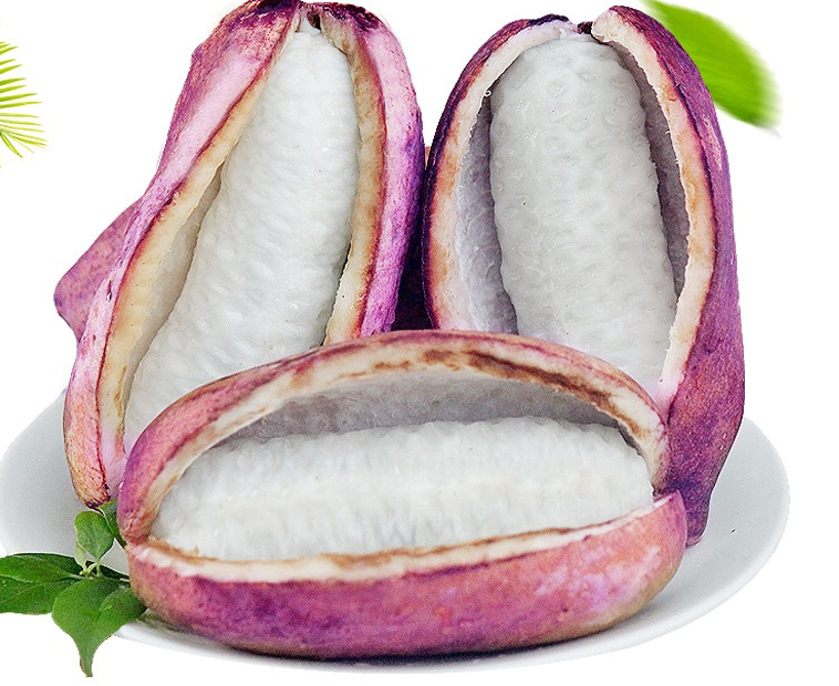 八月瓜的功效与作用