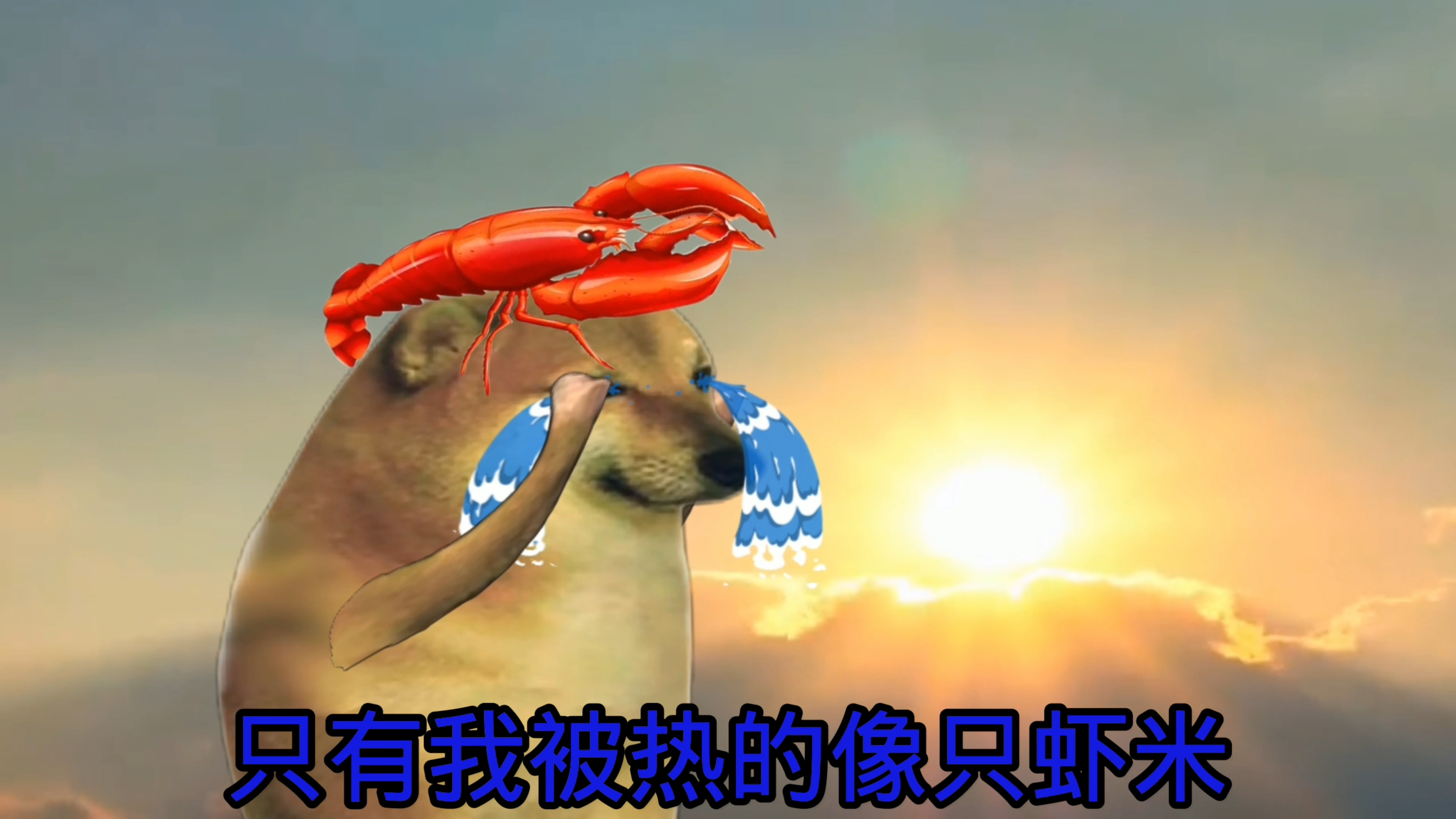 太热了,来个冰镇大西瓜