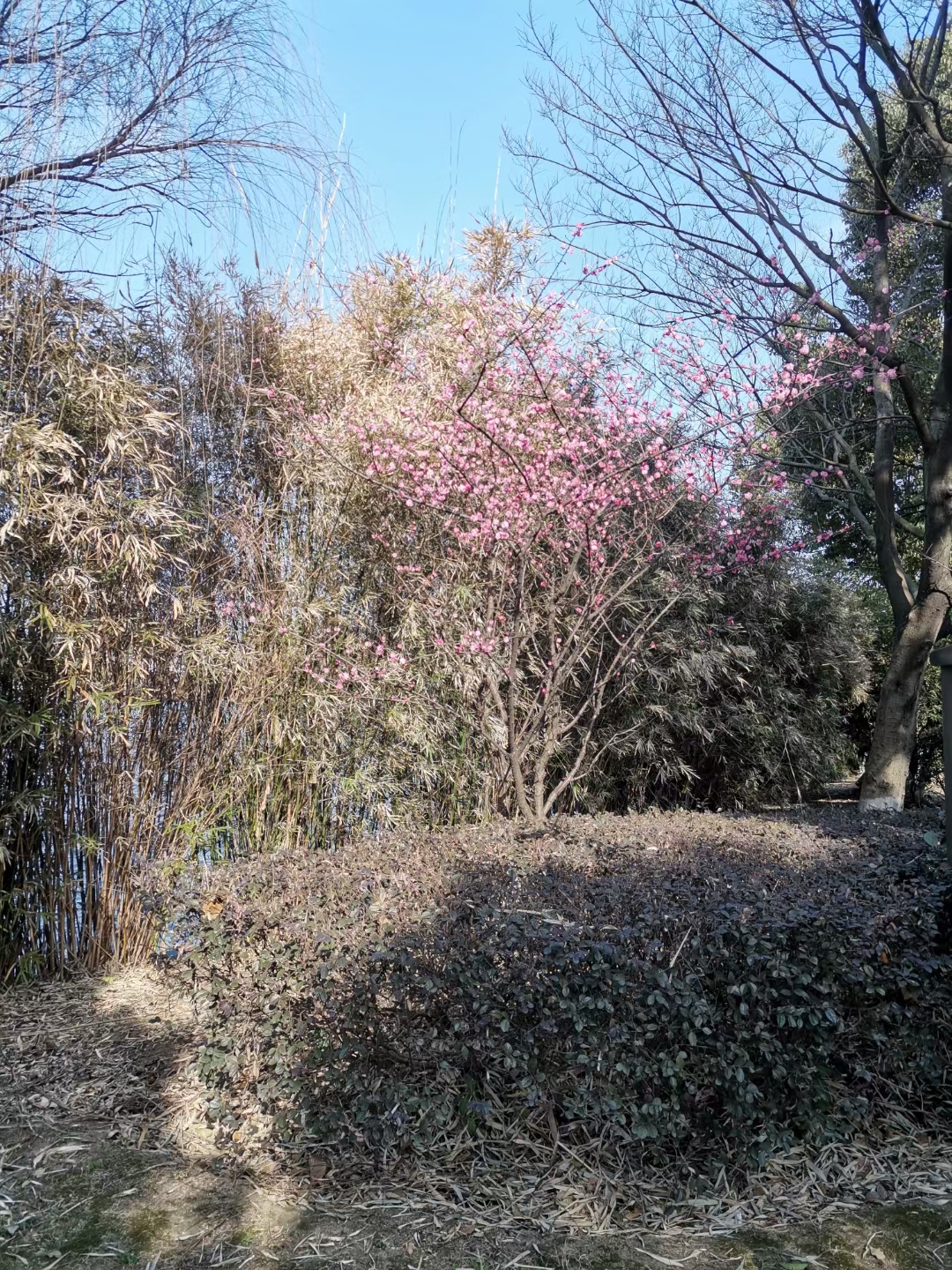 无锡玉祁唐平湖