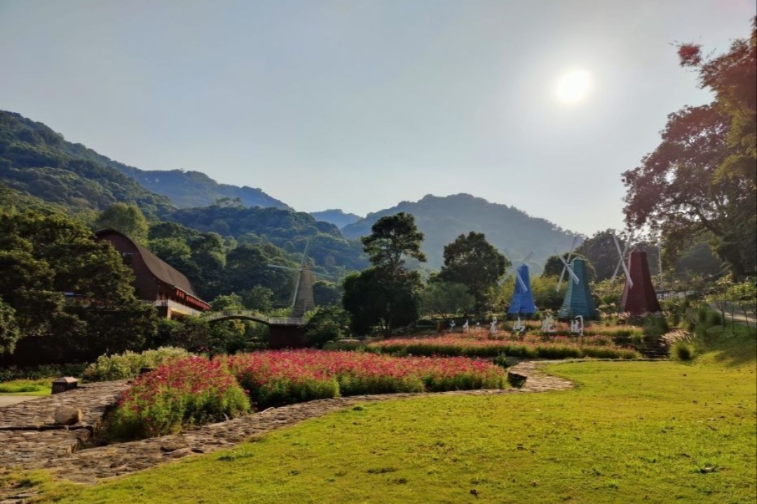 广州二龙山花园以百年古树,千亩古梯田,十里古水蓊树,十里兰溪,200米