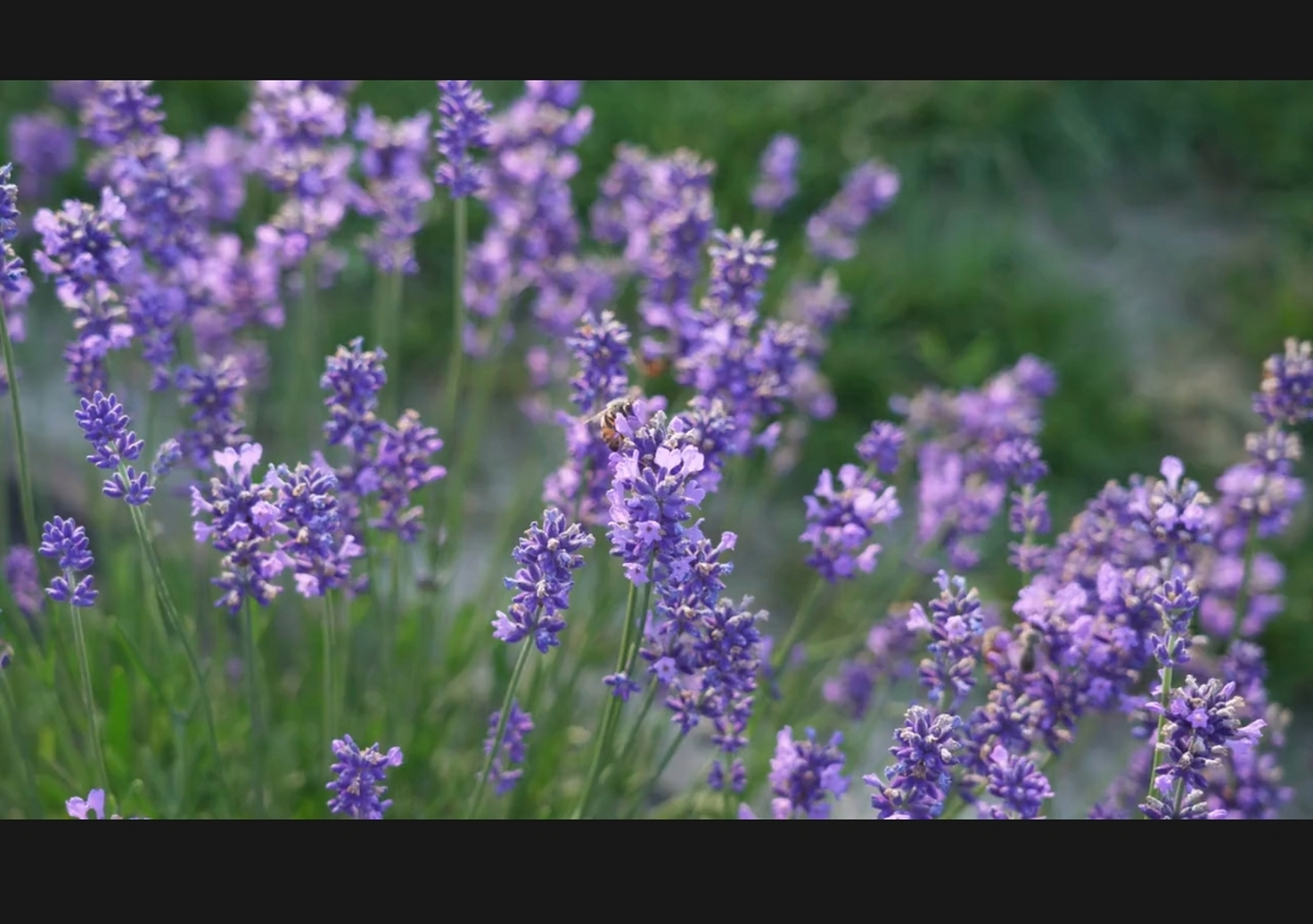 雅颂.小雅》常棣  傧尔笾豆,饮酒之饫. 兄弟既具.和乐且孺.