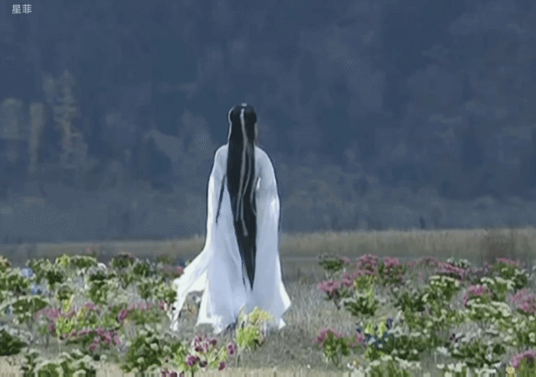 刘亦菲的一个背影,就能被带入角色中