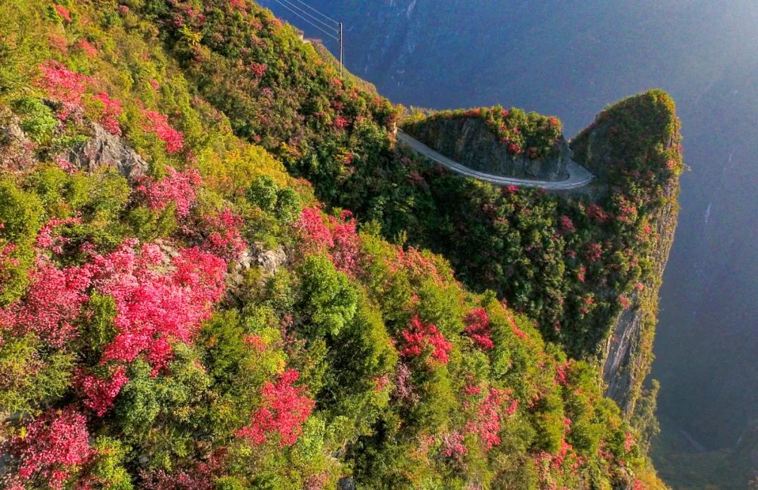 重庆"第一深谷",巫溪兰英大峡谷,深秋时节究竟有多美?