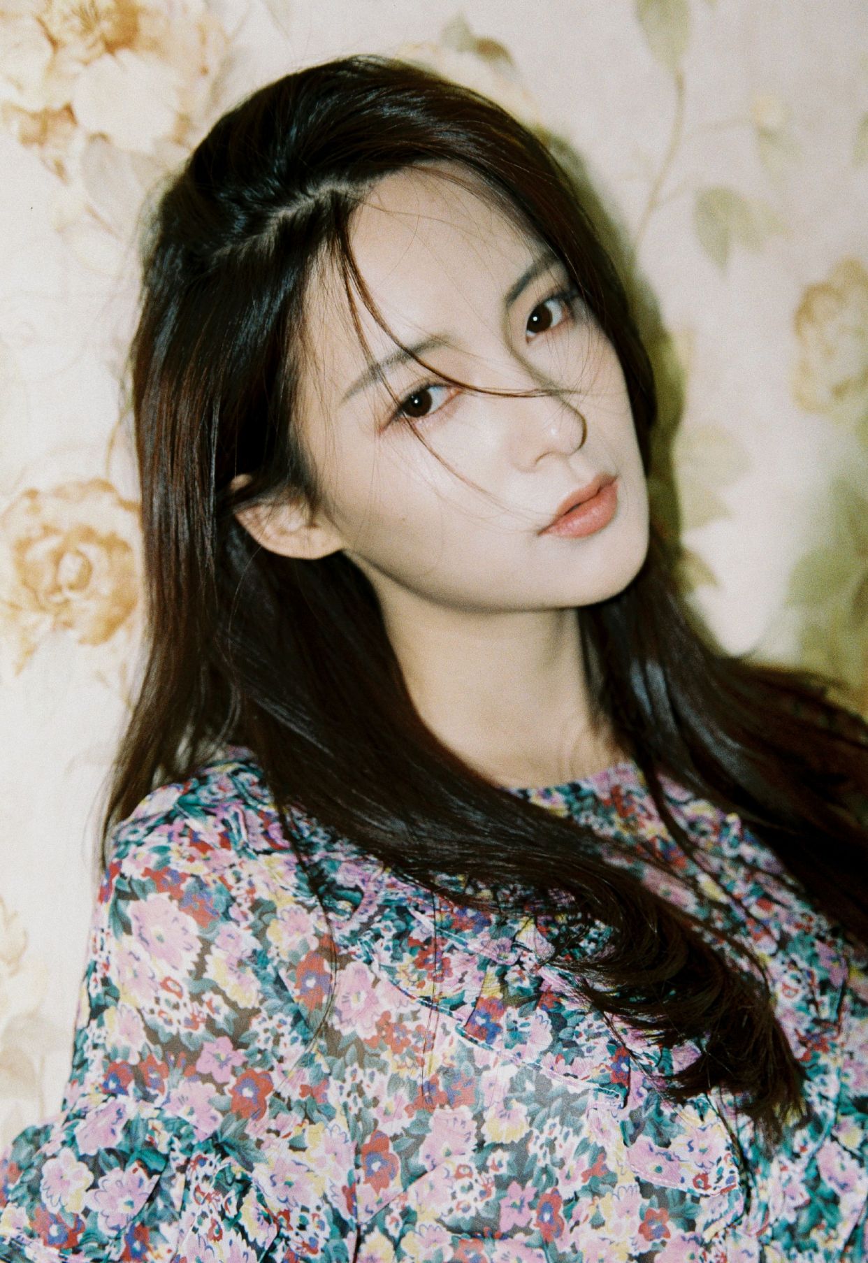 明星写真美图|孙安可