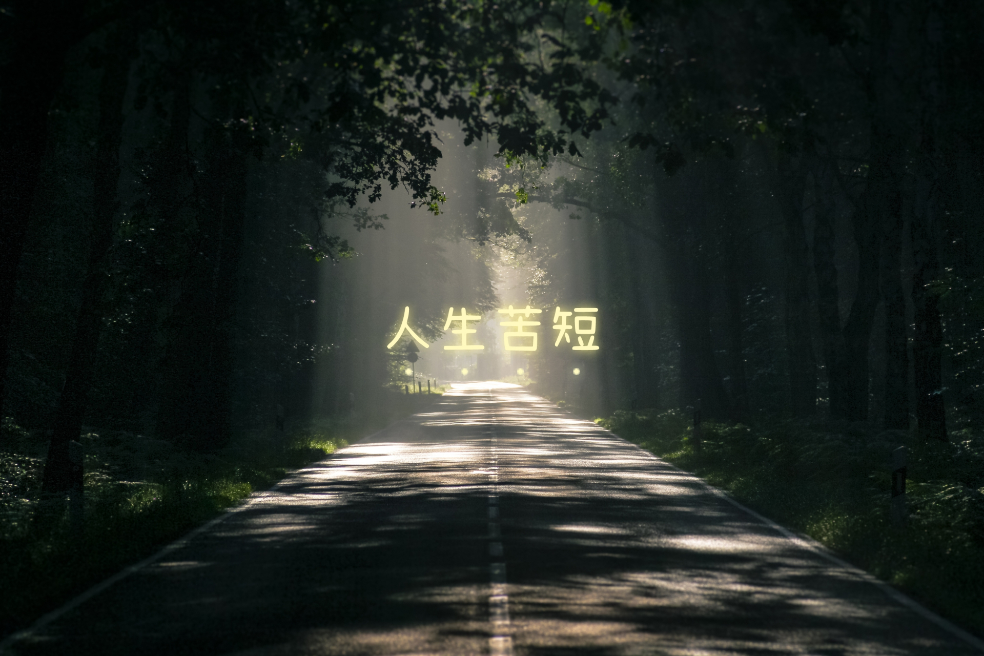 人生苦短,且行且珍惜. 有先于死亡的死,也有超出一个人生活界限的生.