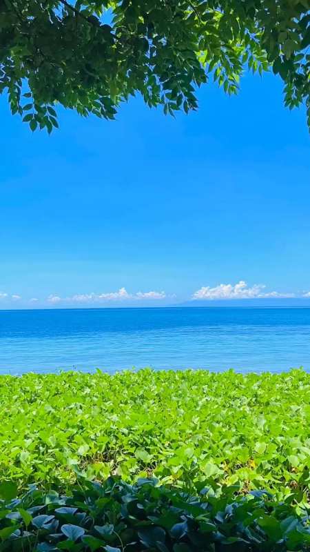 夏天的颜色太治愈了治愈系风景百分摄影大赏一起过夏天