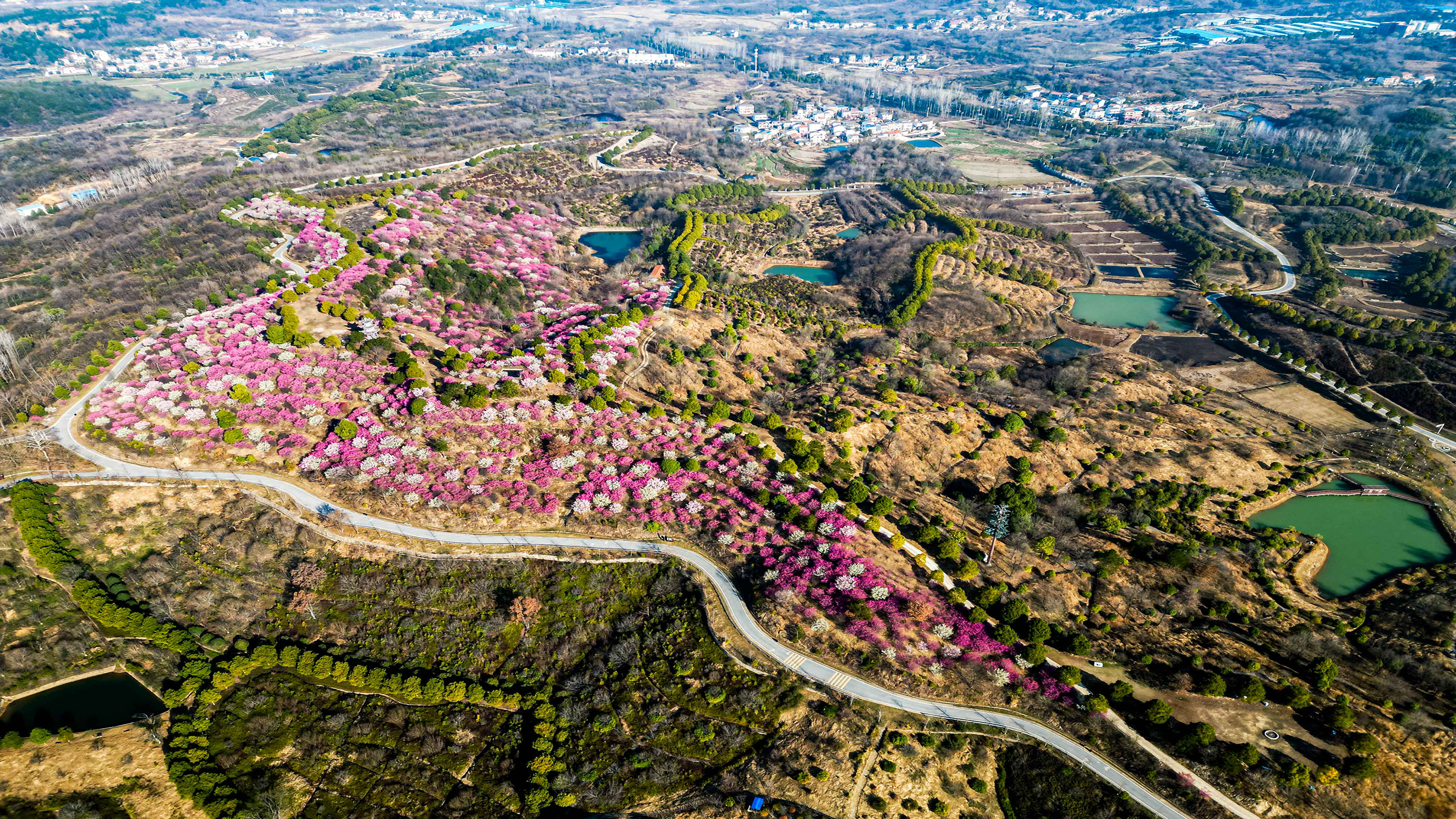 木兰花谷 四季花香