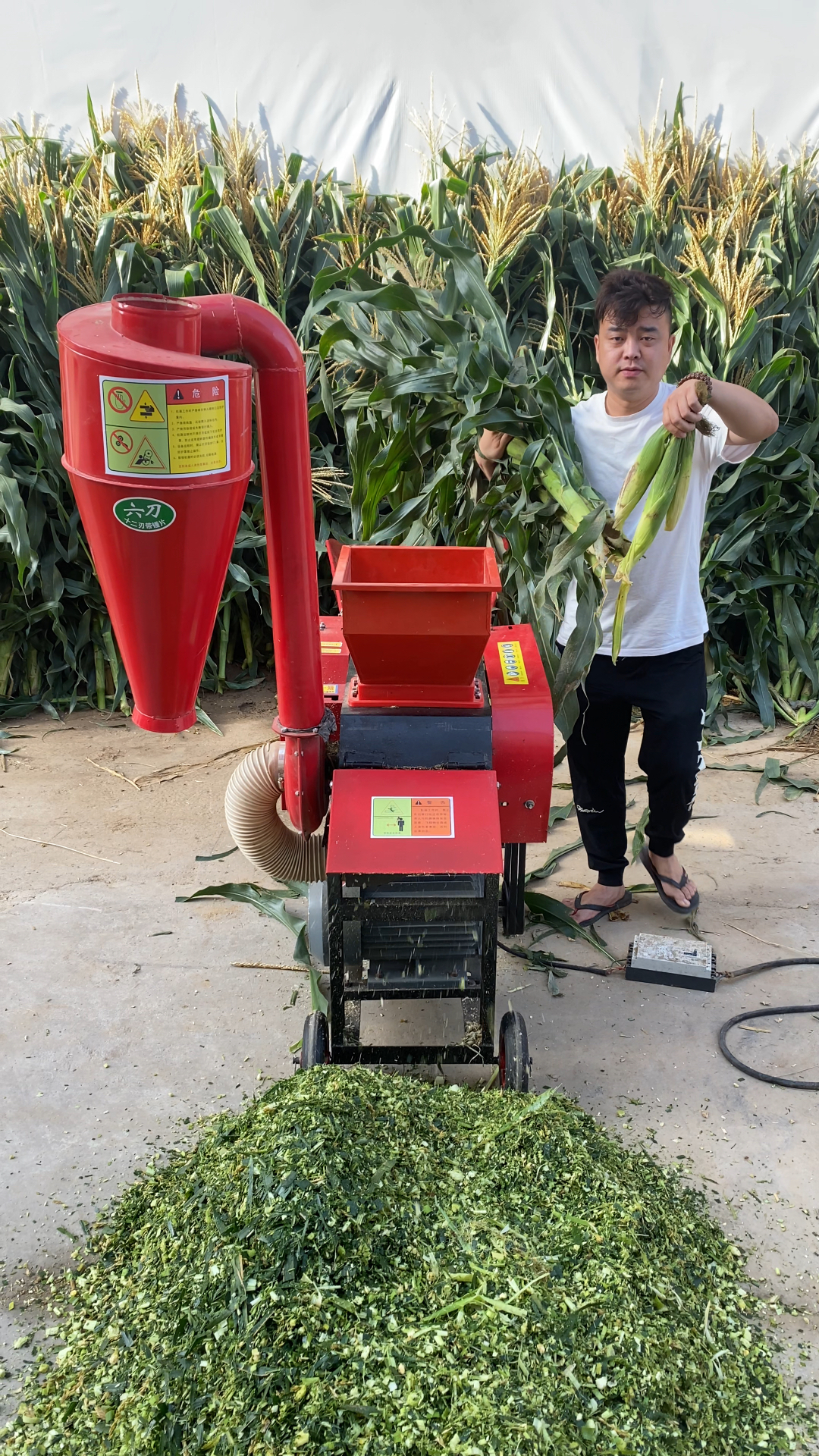 5吨款铡揉粉一体机,整捆的玉米秸秆轻松粉碎,配套动力5.