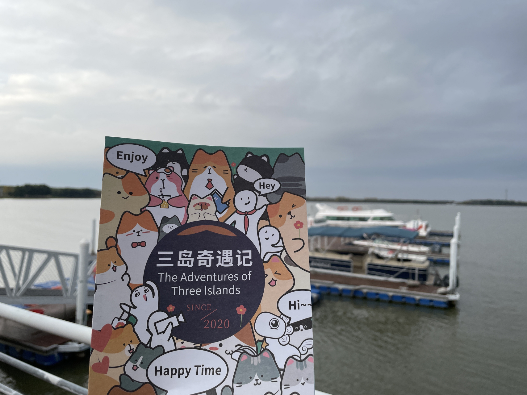 旅游# 安利淮安三岛奇遇记,爱猫人的天堂,岛上八十几只猫追着你跑