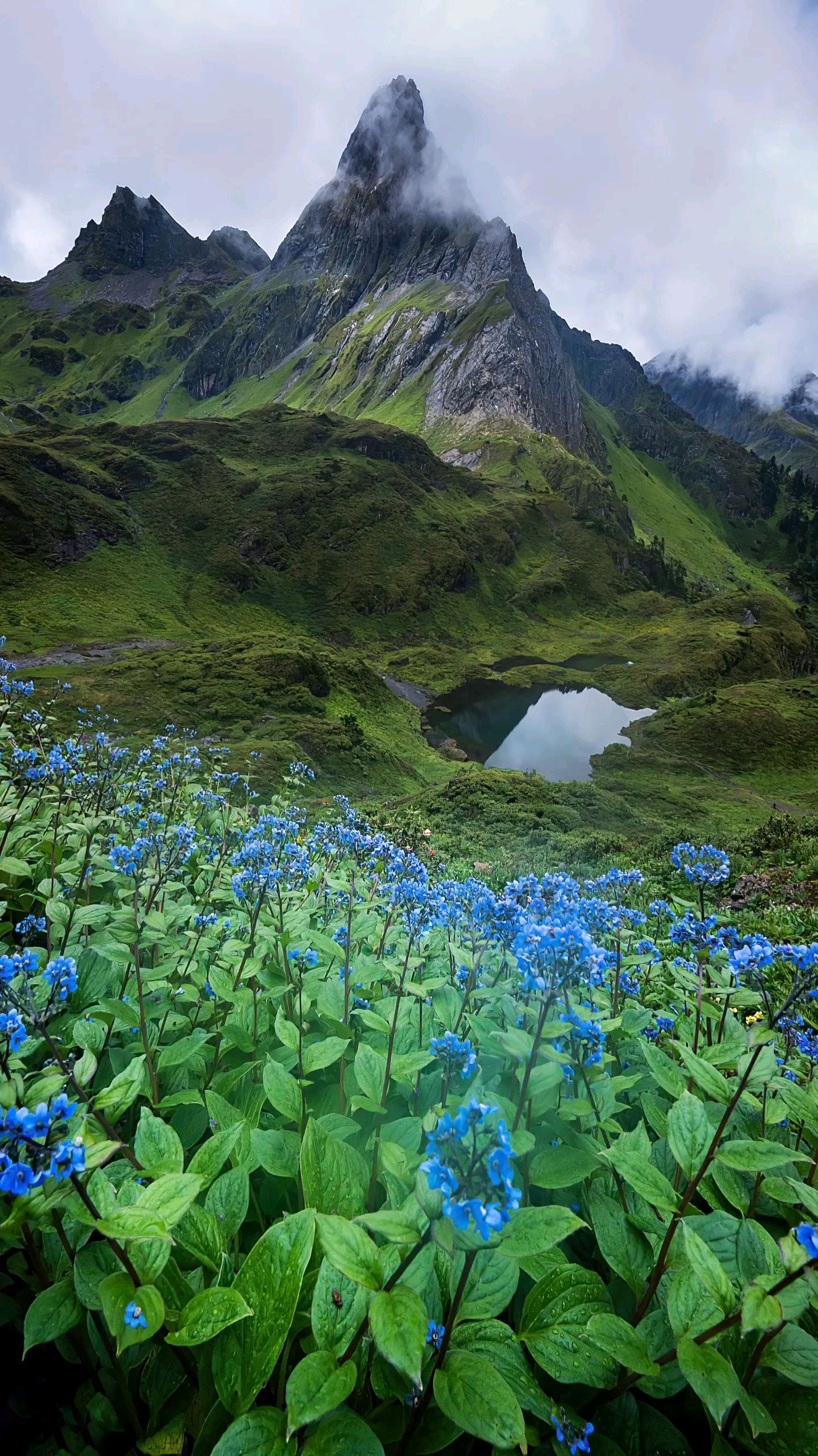 云南迪庆州维西县巴迪乡美景